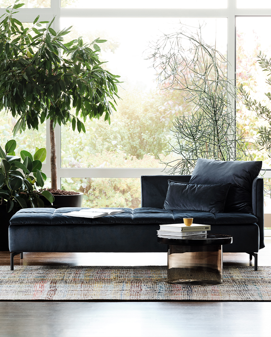 Origins Complete Daybed Remy