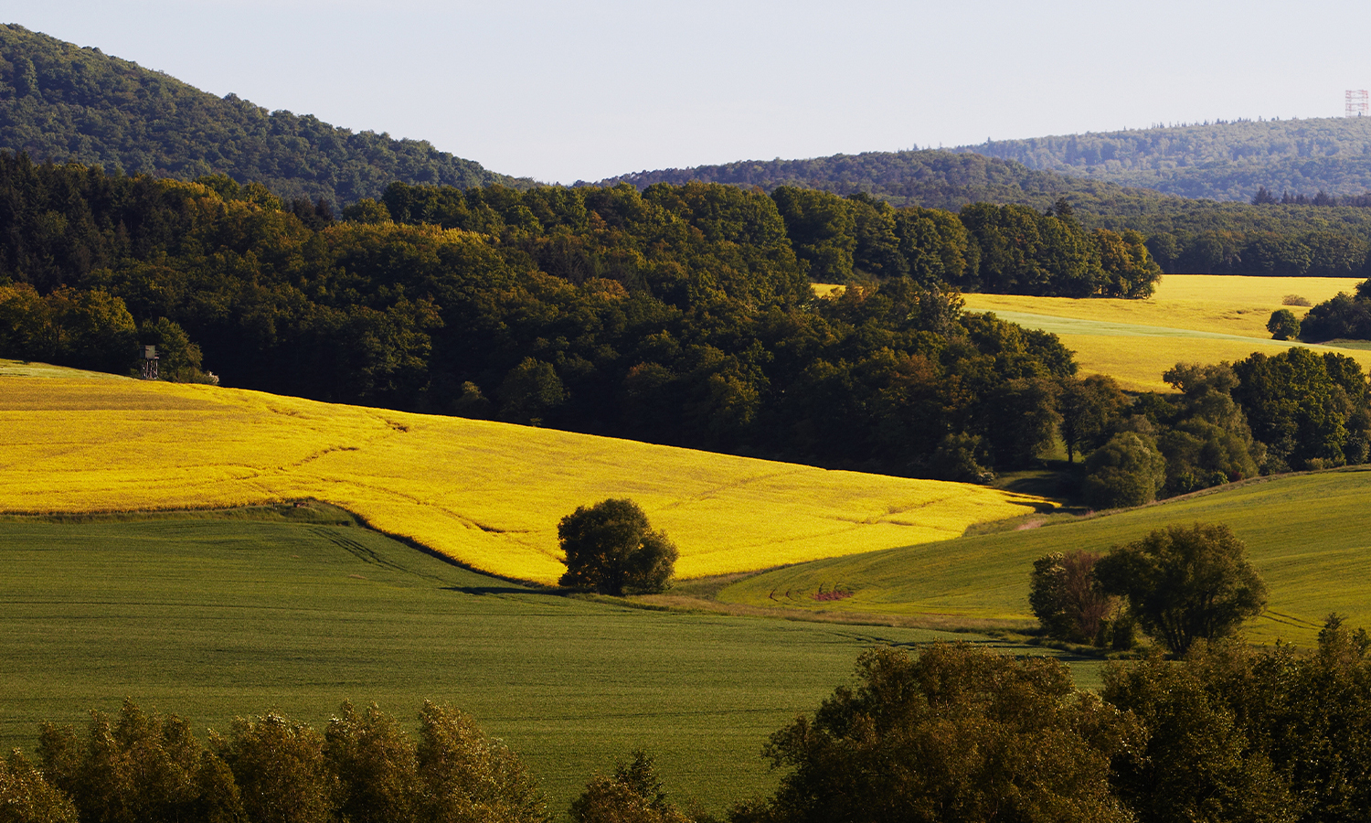 Nachhaltigkeit Winnweiler 
